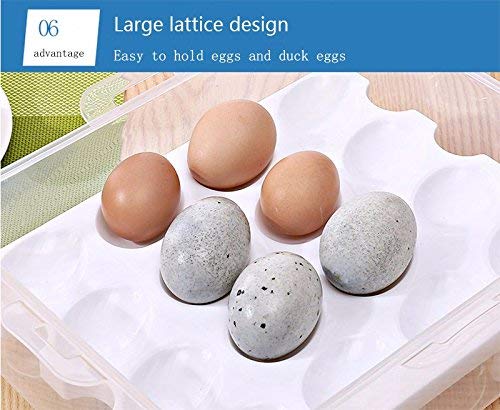 Styleys Double Layer Plastic 32 Grid Egg Storage Box For Refrigerator Kitchen With Lid (Pink_S11063, Square)